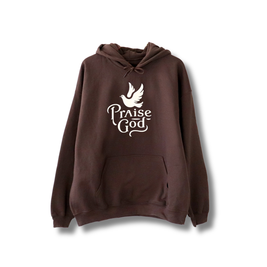 Praise god Hoodie